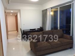 Nova 88 (D12), Apartment #70963491